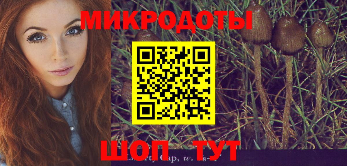 как найти наркотики  Вход с VPN  Железноводск  Псилоцибиновые грибы мухоморы 