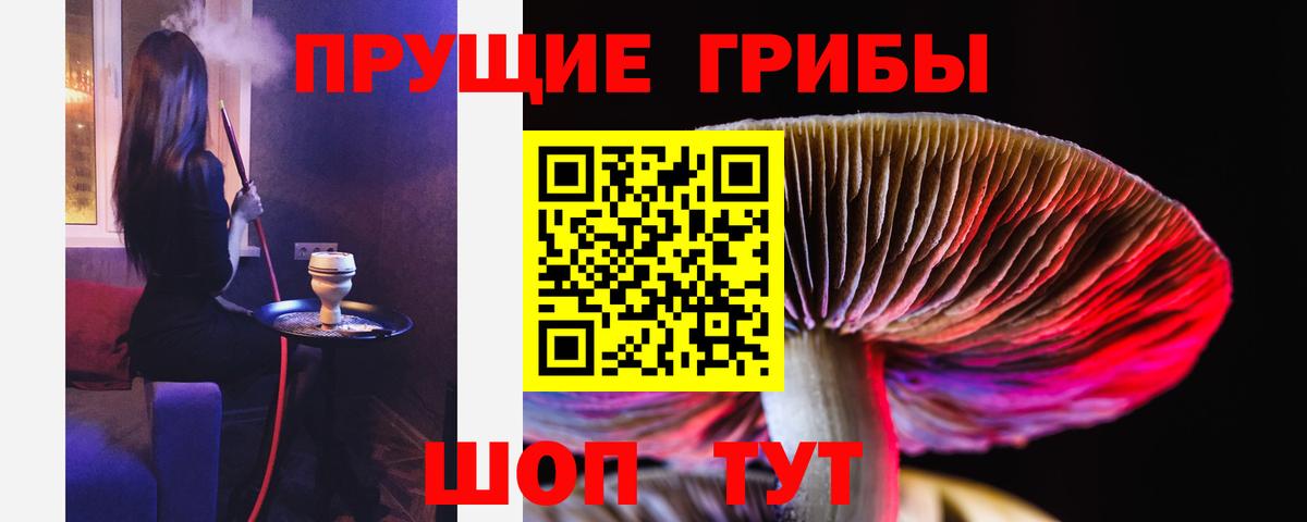 Псилоцибиновые грибы Magic Shrooms Железноводск
