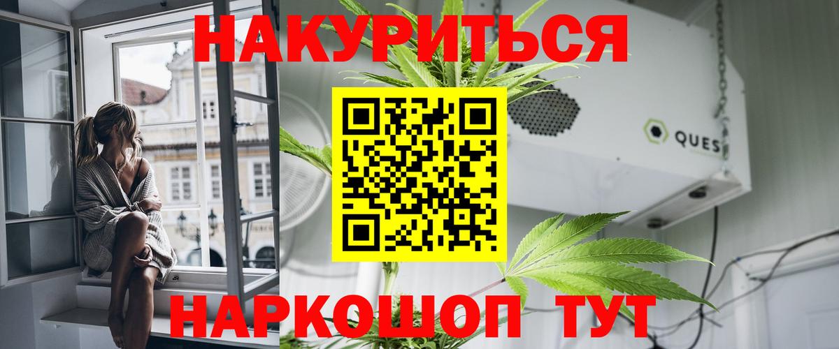 Каннабис OG Kush Железноводск